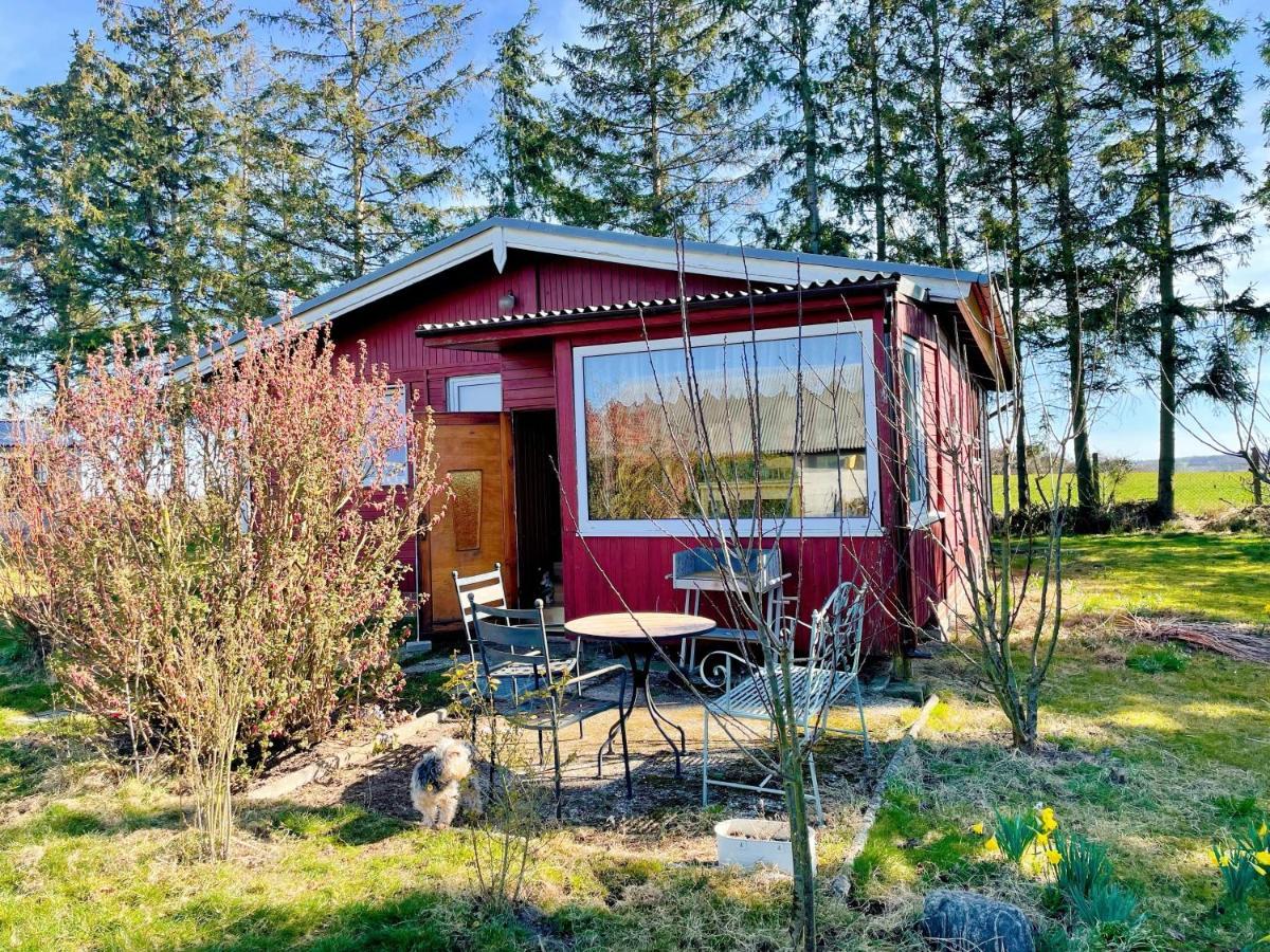 Landhaus Mit Pool, Bungalow In Der Natur Villa Hohenbollentin Exterior foto